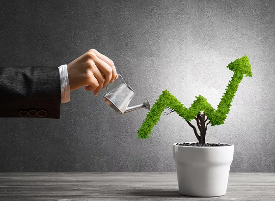 Strategies for Sustainable Growth: Financial Solutions That Drive Business Success